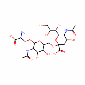 STn Epitope