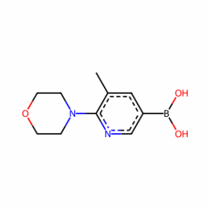 (5-Methyl-6-morpholinopyridin-3-yl)boronic acid