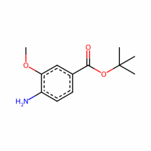 tert-Butyl 4-amino-3-methoxybenzoate