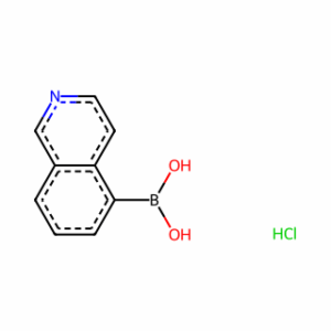 Isoquinoline-5-boronic acid, HCl