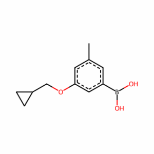 (3-(Cyclopropylmethoxy)-5-methylphenyl)boronic acid