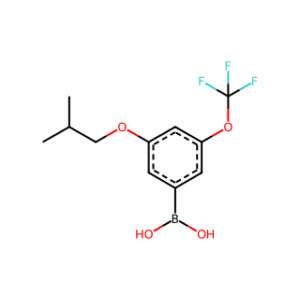 (3-Isobutoxy-5-(trifluoromethoxy)phenyl)boronic acid