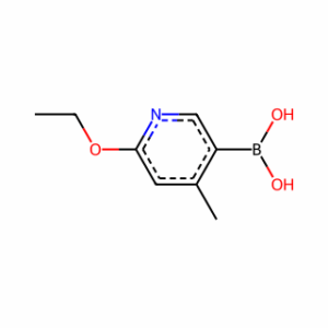 (6-Ethoxy-4-methylpyridin-3-yl)boronic acid