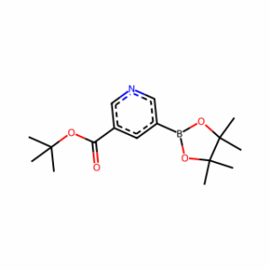 tert-Butyl 5-(4,4,5,5-tetramethyl-1,3,2-dioxaborolan-2-yl)nicotinate