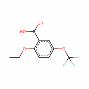(2-Ethoxy-5-(trifluoromethoxy)phenyl)boronic acid