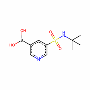 (5-(N-(tert-Butyl)sulfamoyl)pyridin-3-yl)boronic acid