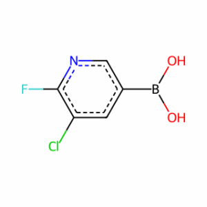 (5-Chloro-6-fluoropyridin-3-yl)boronic acid