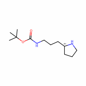 (R)-(3-PYRROLIDIN-2-YL-PROPYL)-CARBAMIC ACID TERT-BUTYL ESTER
