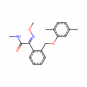 (E)-2-(2-((2,5-Dimethylphenoxy)methyl)phenyl)-2-(methoxyimino)-N-methylacetamide