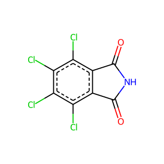 Tetrachlorophthalimide