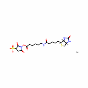 Sulfo-NHS-LC-Biotin sodium