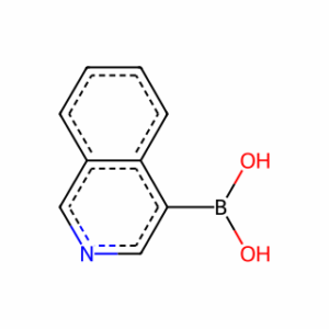 Isoquinoline-4-boronic acid