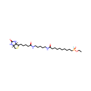 FP-Biotin
