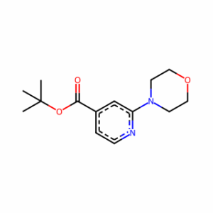 tert-Butyl 2-morpholinoisonicotinate