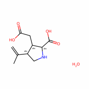 Kainic acid monohydrate