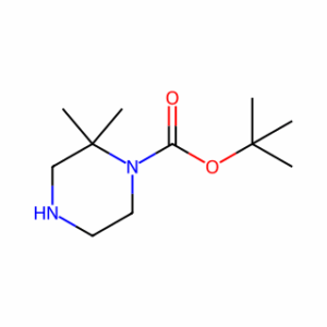 tert-Butyl 2,2-dimethylpiperazine-1-carboxylate
