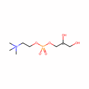 L-α-Glycerophosphorylcholine