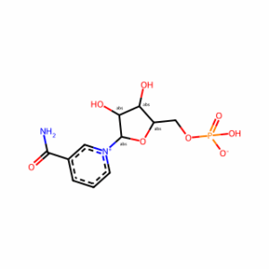 β-Nicotinamide Mononucleotide