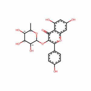 Kaempferol 3-O-rhamnoside