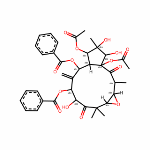 Kansuinin B