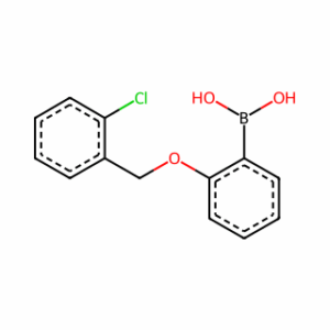 (2-((2-Chlorobenzyl)Oxy)Phenyl)Boronic Acid
