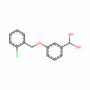 (3-((2-Chlorobenzyl)oxy)phenyl)boronic acid
