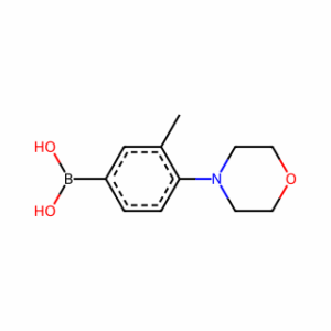 (3-Methyl-4-morpholinophenyl)boronic acid