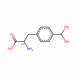 p-Boronophenylalanine