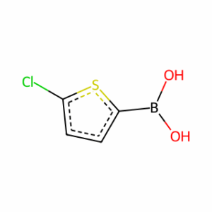 (5-Chlorothiophen-2-yl)boronic acid
