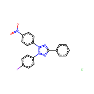 Iodonitrotetrazolium chloride