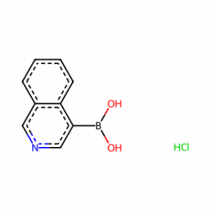 Isoquinoline-4-boronic acid hydrochloride