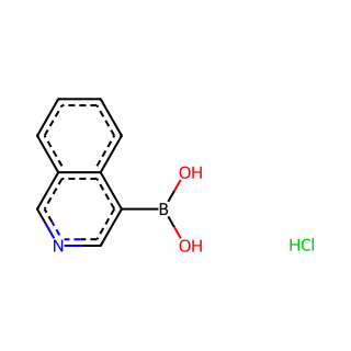 Isoquinoline-4-boronic acid hydrochloride