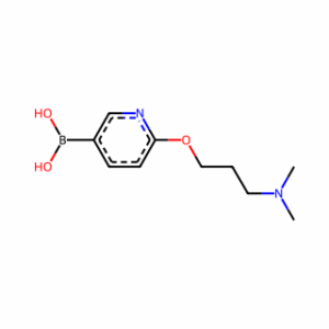 (6-(3-(Dimethylamino)propoxy)pyridin-3-yl)boronic acid
