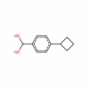 (4-Cyclobutylphenyl)boronic acid