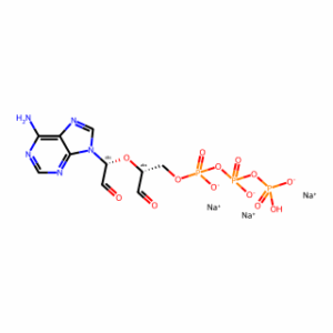 Oxidized ATP (trisodium salt)