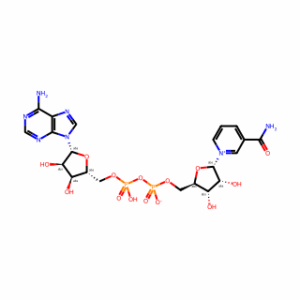 α-NAD