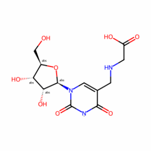 Uridine-5-methylamino   acetic acid