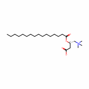 (±)-Palmitoyl carnitine