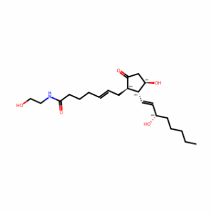 Prostaglandin E2 Ethanolamide