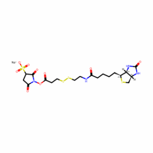 Sulfo-NHS-SS-Biotin (sodium)
