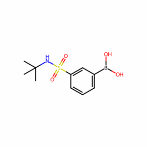 (3-(N-(tert-Butyl)sulfamoyl)phenyl)boronic acid