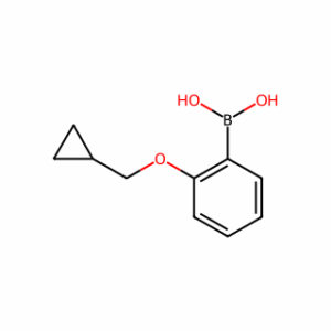 (2-(Cyclopropylmethoxy)phenyl)boronic acid