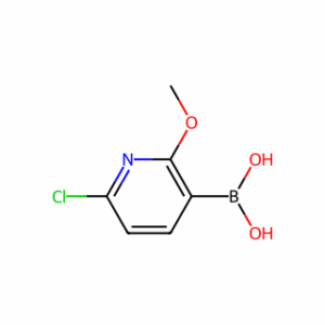 (6-Chloro-2-methoxypyridin-3-yl)boronic acid