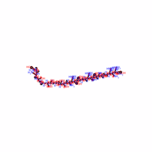 Peptide YY (Human)