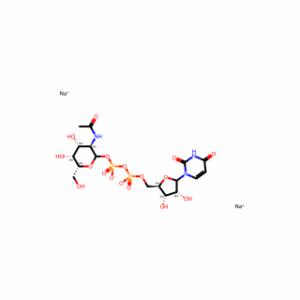 Udp-alpha-d-n-acetylgalactosamine,disodiumsalt