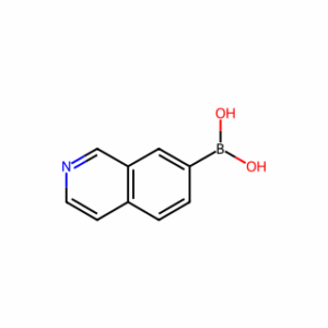 Isoquinolin-7-ylboronic acid