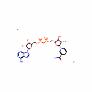 β-Nicotinamide adenine dinucleotide reduced (dipotassium)