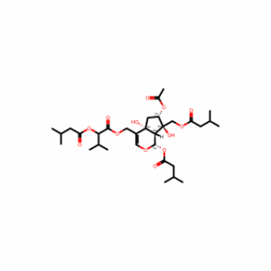 Jatamanvaltrate B