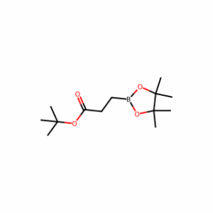 Tert-butyl 3-(4,4,5,5-tetramethyl-1,3,2-dioxaborolan-2-yl)propanoate