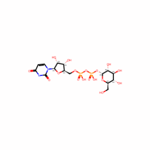 UDP-glucose